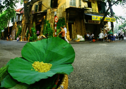 mùa cốm